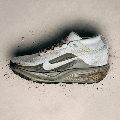 NIKE+ACG+PEGASUS+TRAIL+GTX.png